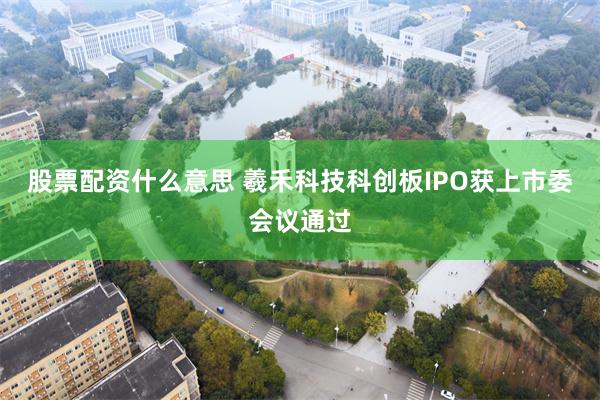 股票配资什么意思 羲禾科技科创板IPO获上市委会议通过